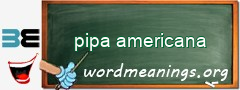 WordMeaning blackboard for pipa americana